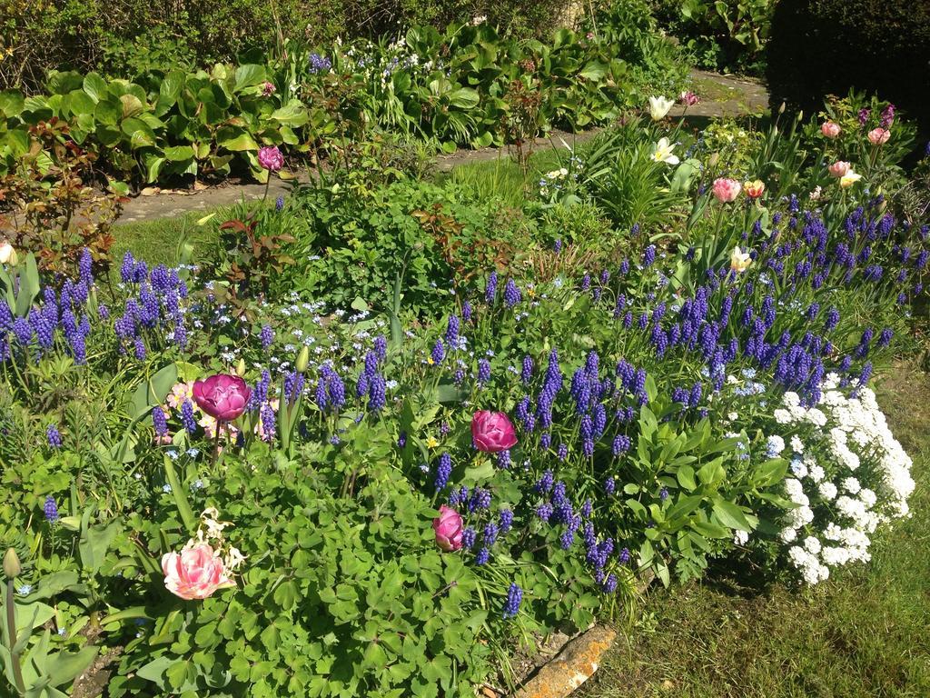 Yew Tree Cottage B&B Stow-on-the-Wold Eksteriør bilde